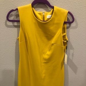 Calvin Klein Dress